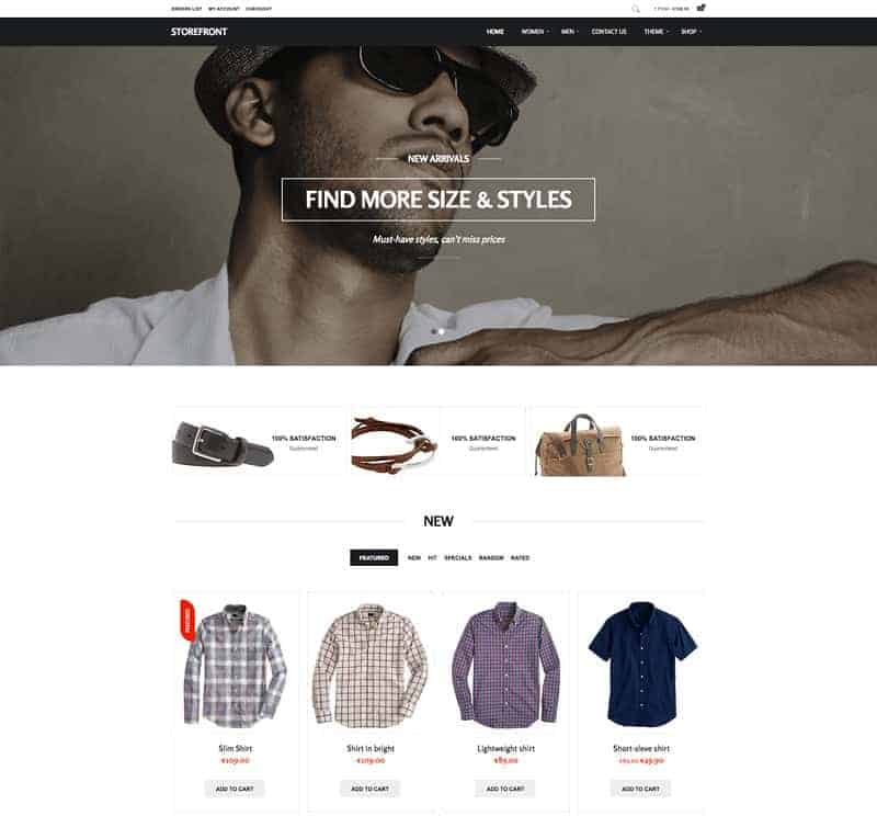 Portada del tema Storefront