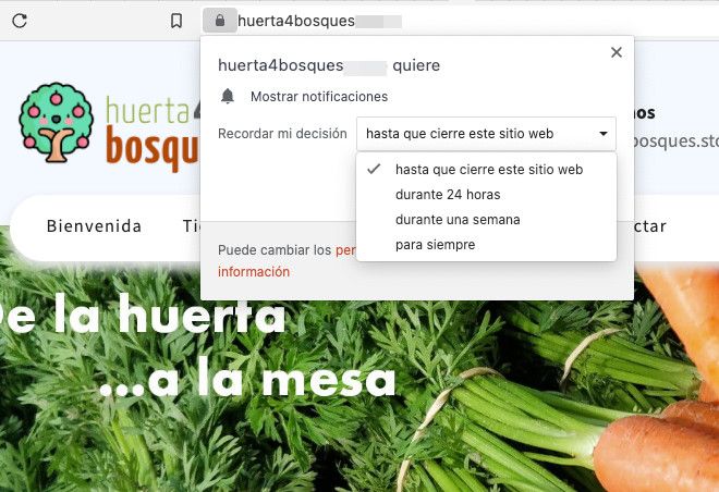 Cómo deben comportarse las notificaciones push en el navegador