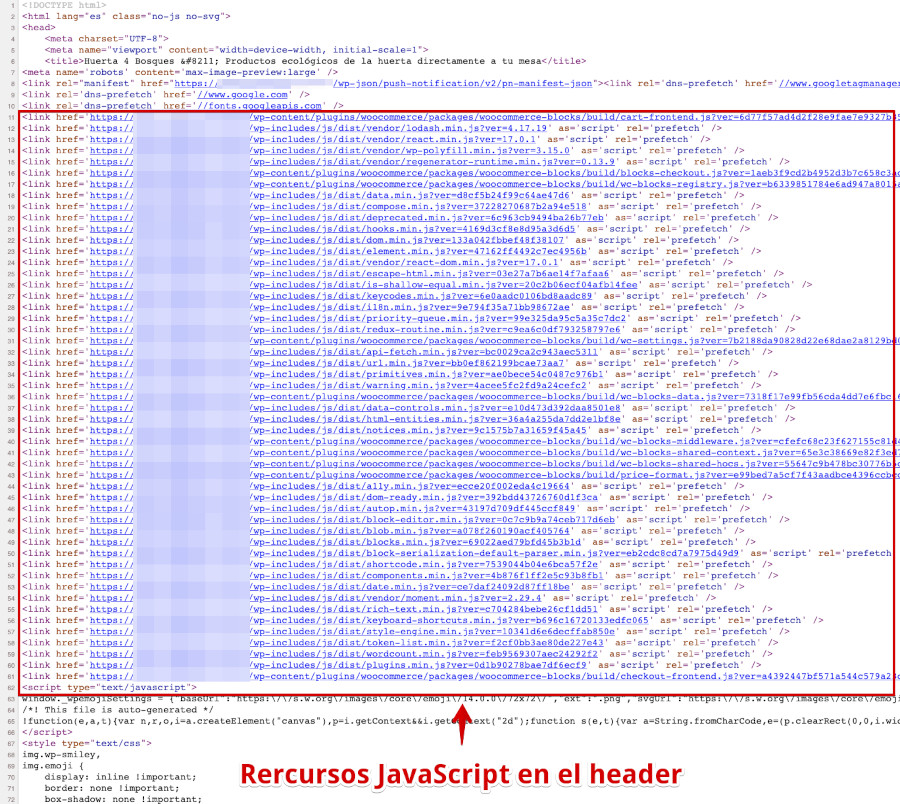 Recursos JavaScript en la cabecera de la web WordPress