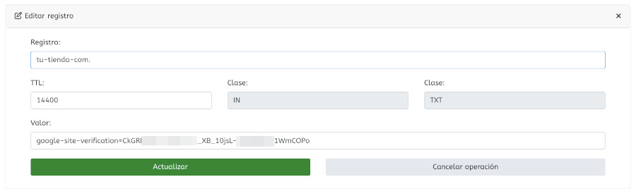 Registro TXT en WePanel