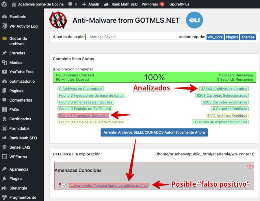 Resultado del análisis anti malware de un sitio WordPress