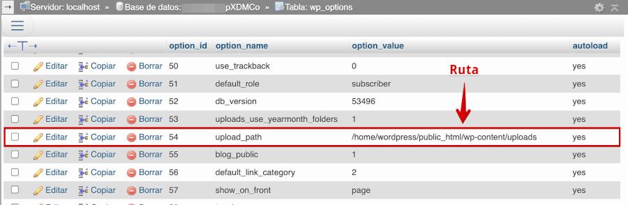 Ruta de upload declarada en la base de datos de un sitio WordPress