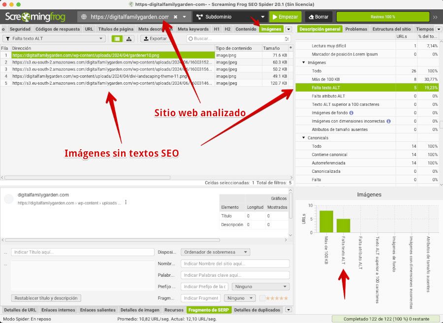 Screaming Frog SEO Spyde - Texto alternativo en imágenes