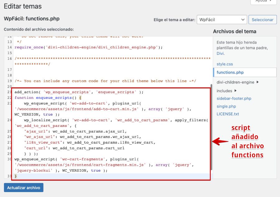 Script añadido al archivo functions.php