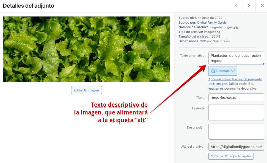 Texto alternativo en una imagen