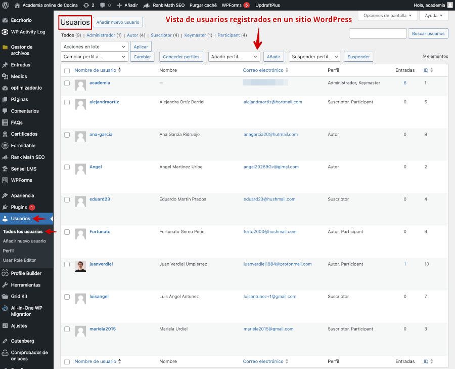 Vista nativa de usuarios registrados en un sitio WordPress