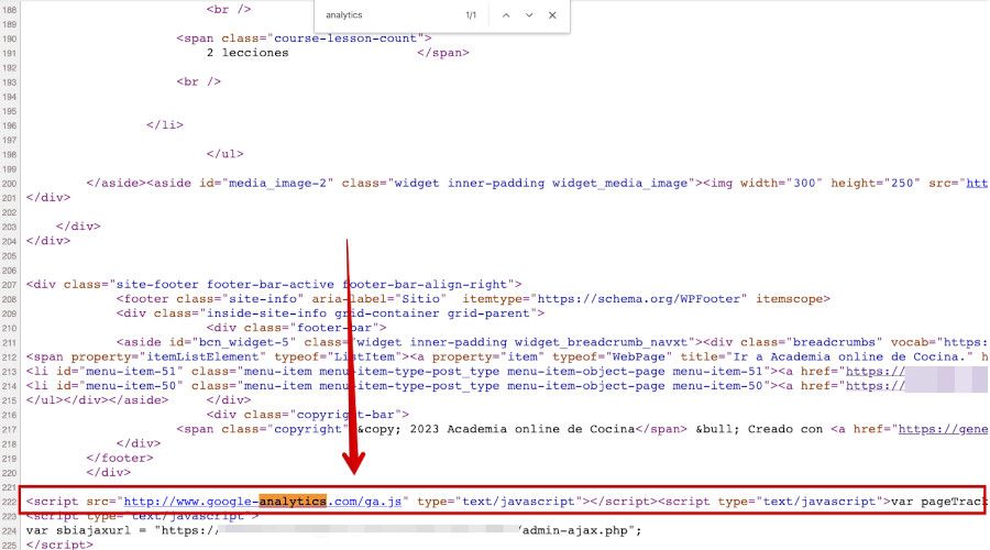 Ver código fuente para localizar la cadena analytics