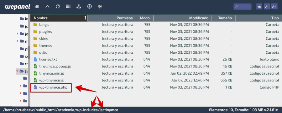 Comprobar existencia del archivo wp-tinymce.js