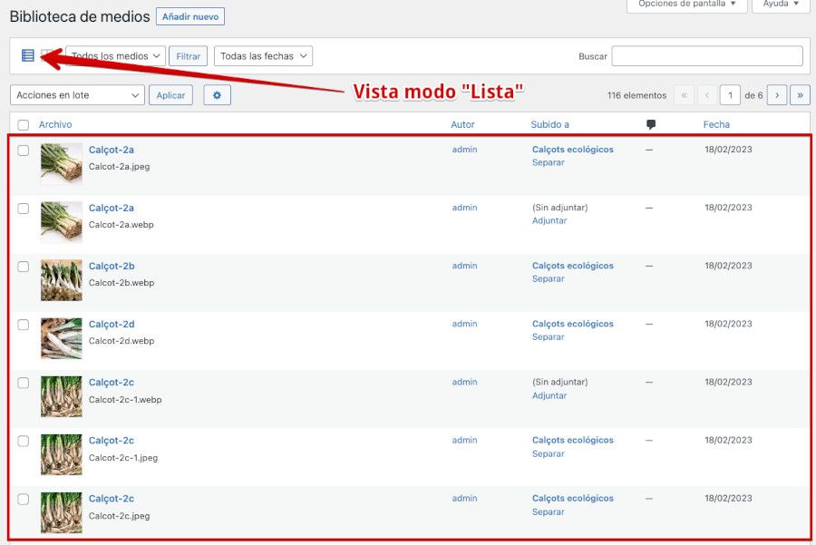 Vista modo lista biblioteca WordPress