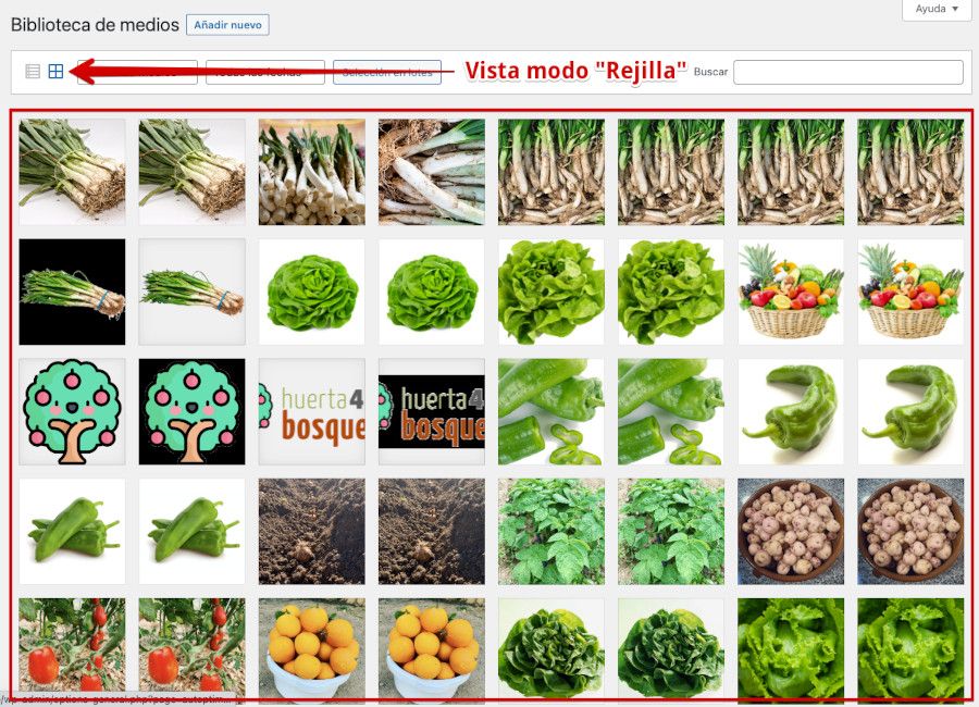 Vista modo rejilla biblioteca WordPress