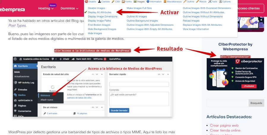 Web Developer - Mostrar atributos alta de imagenes
