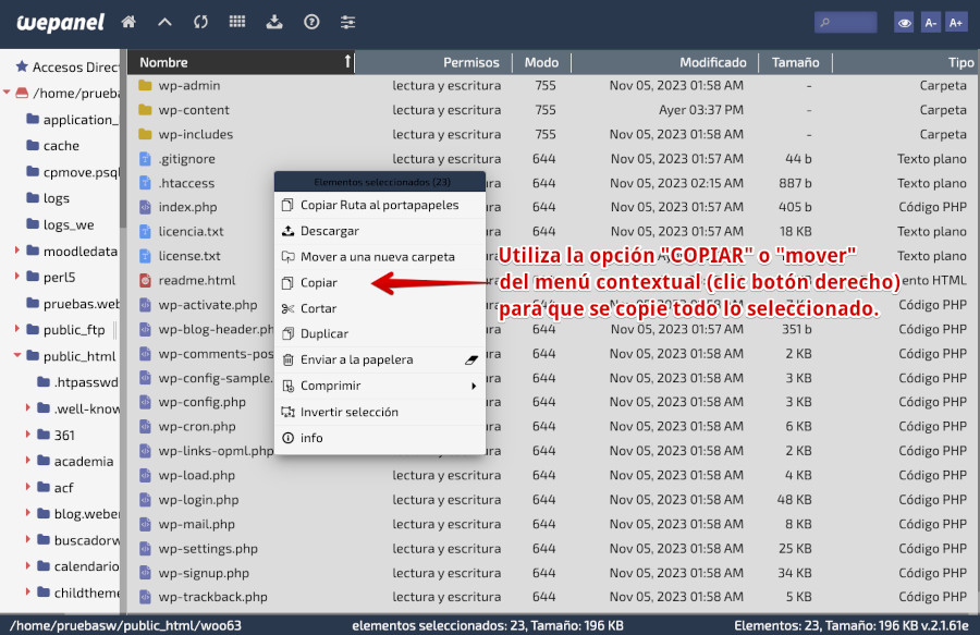 WePanel - Archivos - Administrador de Archivos - Carpeta WordPress origen - Copiar