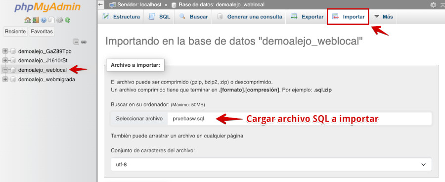 WePanel - Bases de Datos - phpMyAdmin - Cargar archivo a importar