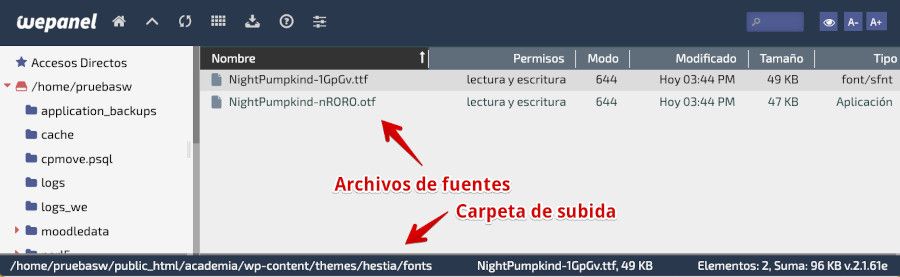 Fuentes subidas a la carpeta fonts del tema