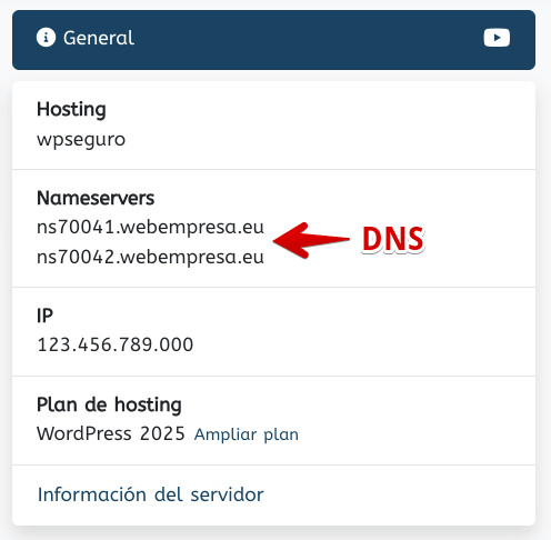 WePanel - DNS asignados