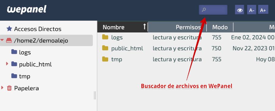 Buscador global del administrador de archivos de WePanel