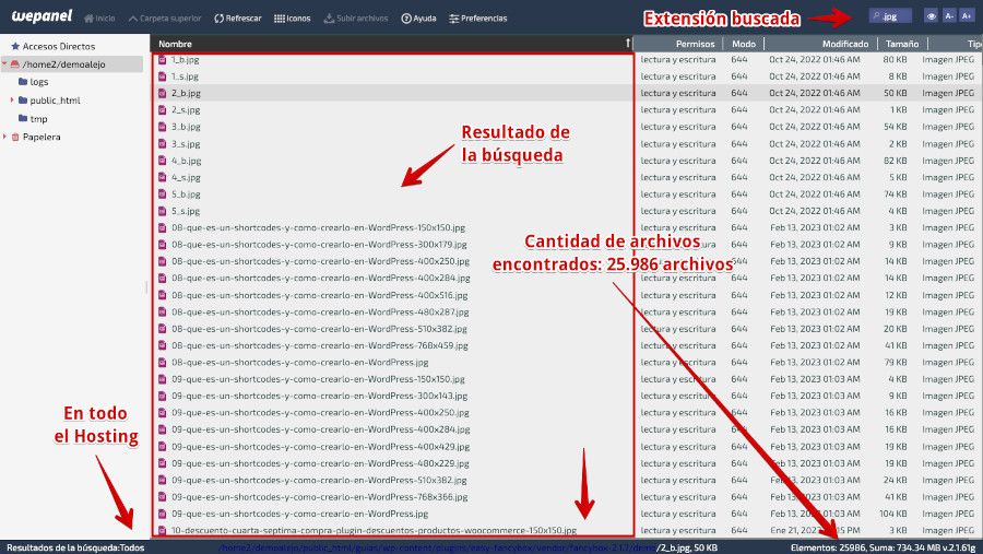 Buscar archivos por extensión con WePanel - Resultado