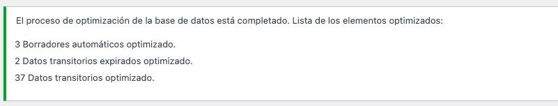 WP Rocket Optimización terminada