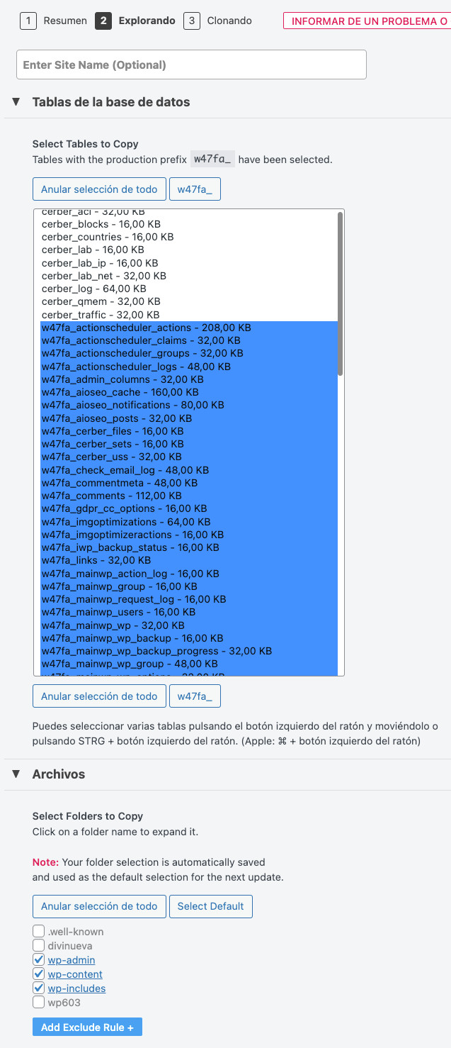 Opciones adicionales del clonado del sitio con wpstaging