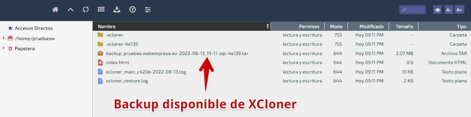 Backup disponible en la carpeta del sitio web