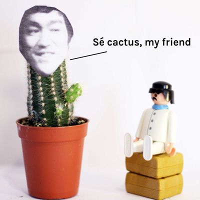 Proyecto Cactus