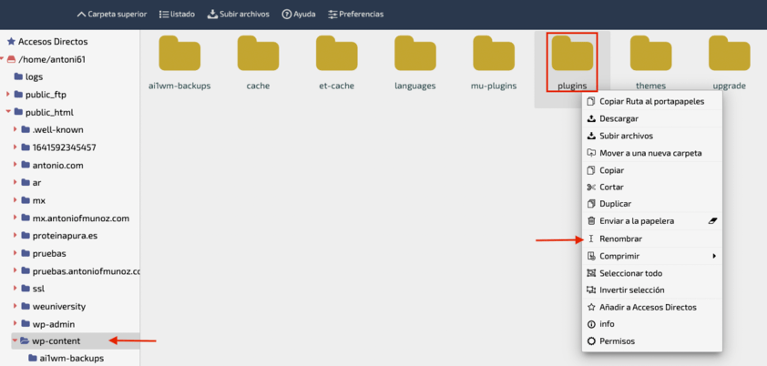 renombrar carpeta plugins desde administrador de archivos