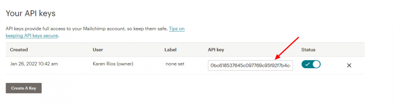 api key generada Mailchimp Divi