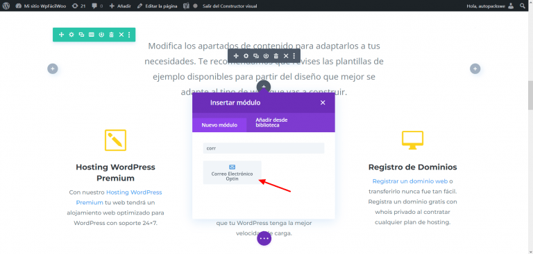 correo optin Divi y Mailchimp