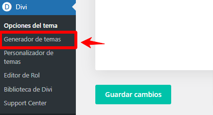 personalizar página de tienda divi