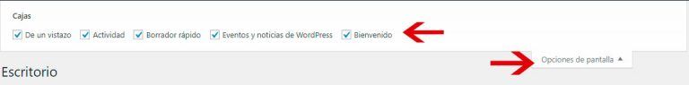 opciones en el escritorio de WordPress