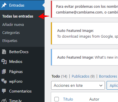 borrar campos personalizados de entradas en WordPress