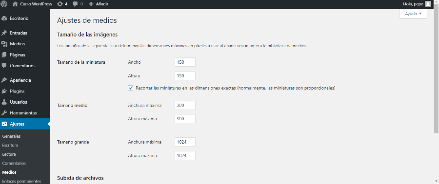 miniaturas en WordPress