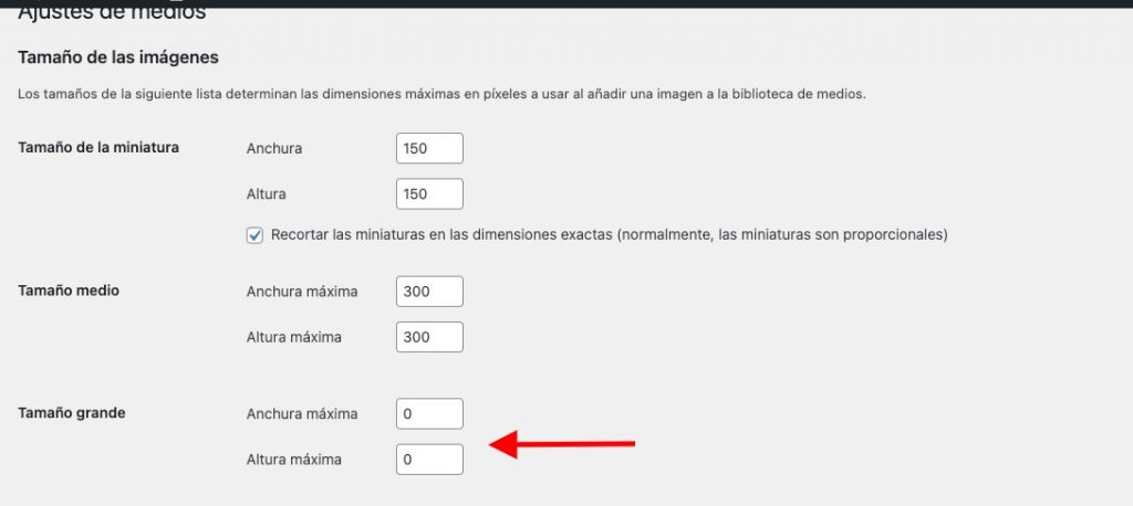 tamaños generación de imágenes