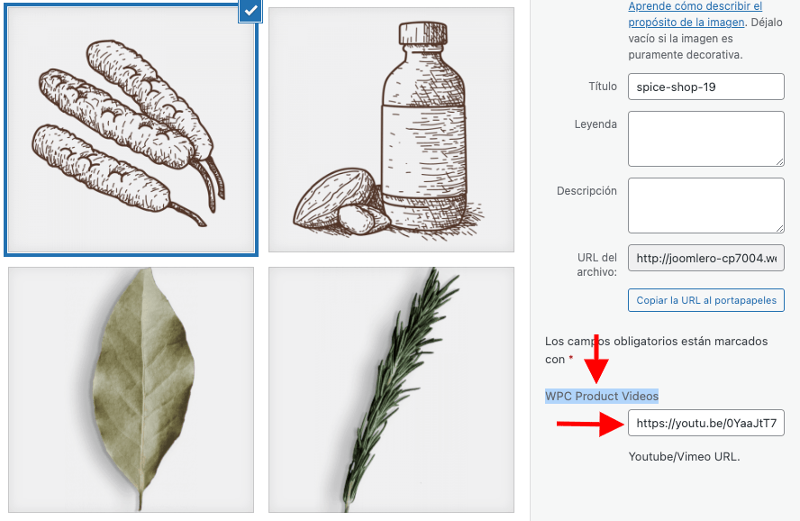 pegamos la URL en WPC Product Videos