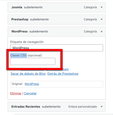 Opción Clases CSS en los elementos del menú