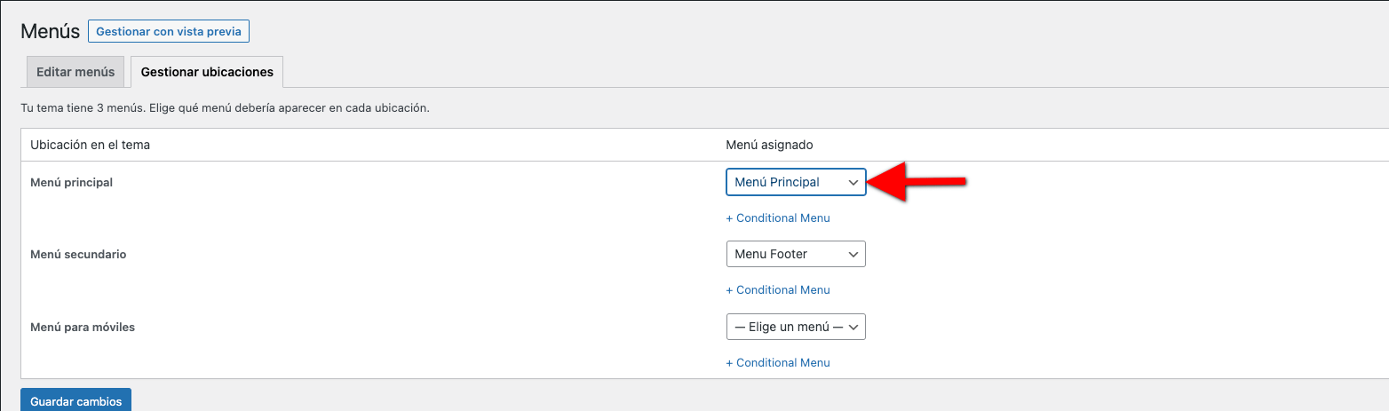 Gestionar Ubicaciones Menu WordPress