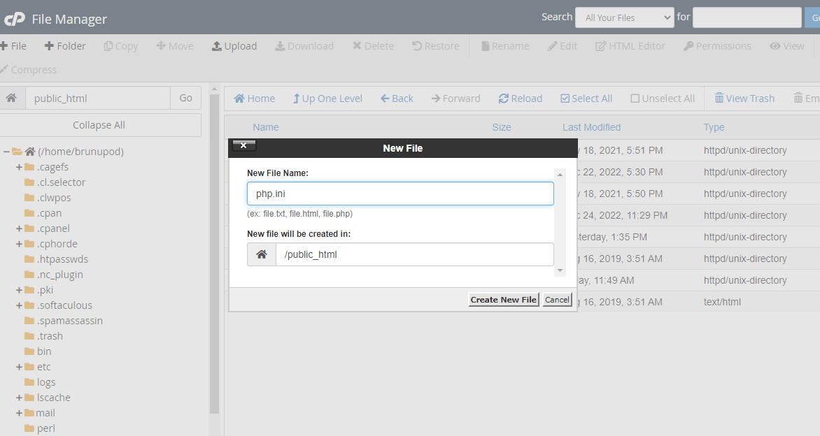 File manager creando el archivo php.ini