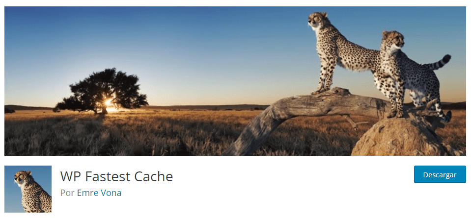 WP Fastest Cache plugin