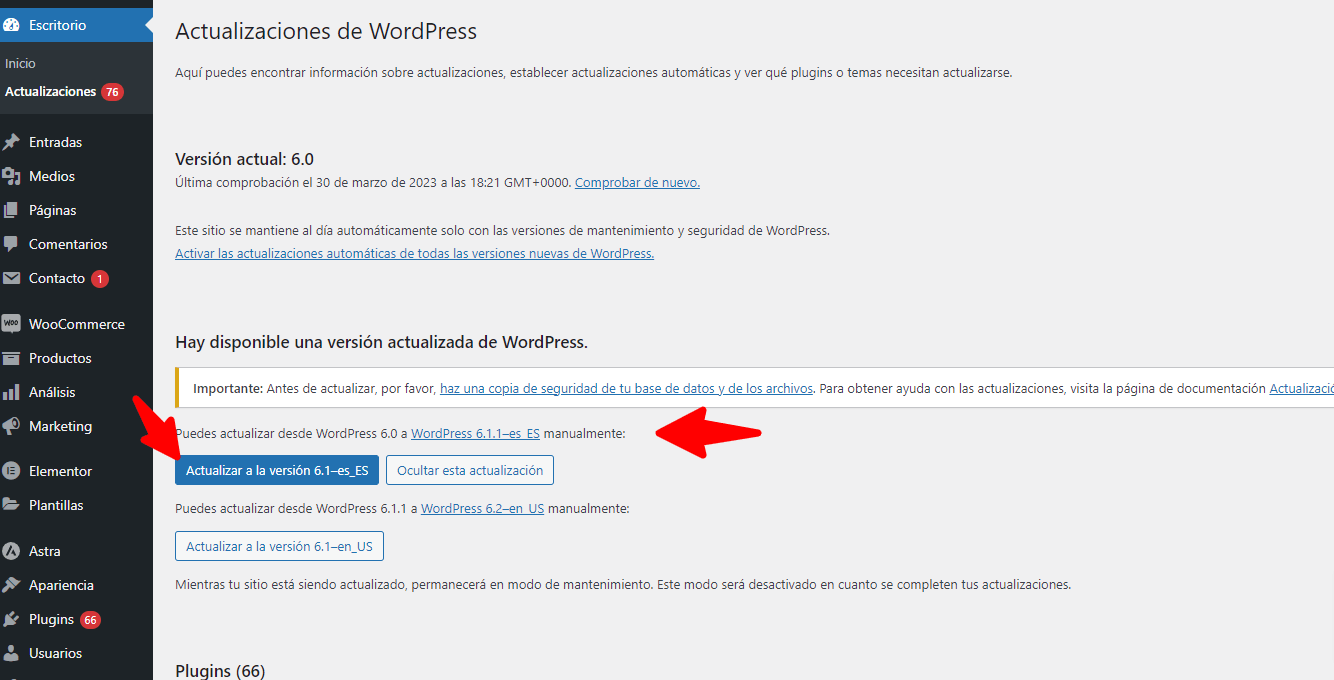 Actualiza versión de WordPress 6.0