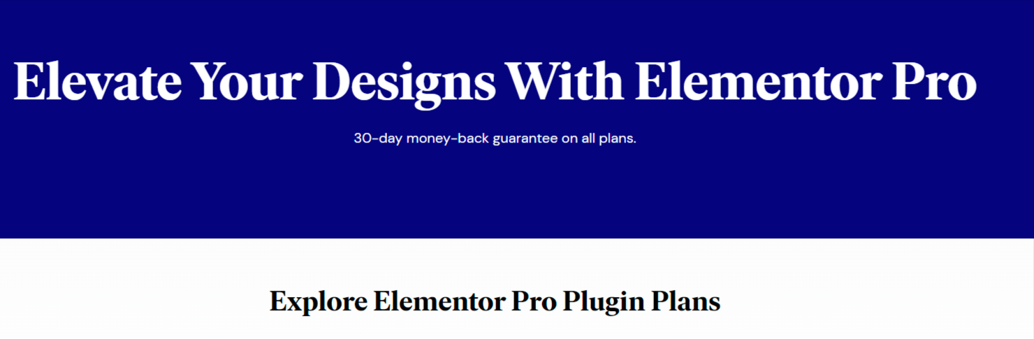 Elementor pro 