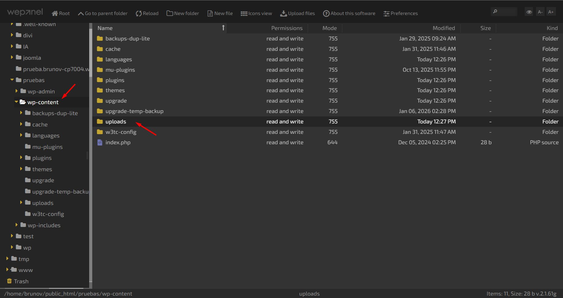descargar-imagenes-wp-05