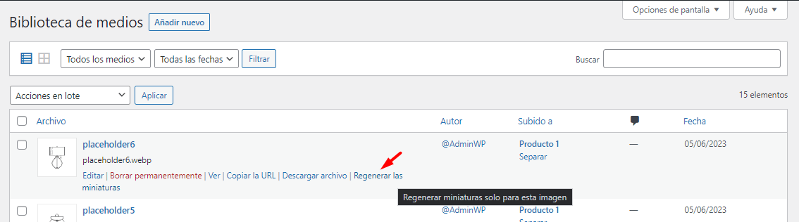 regenerar-miniaturas-wp-08