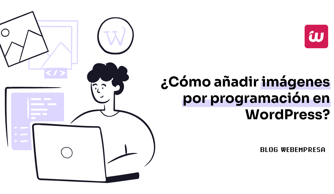 ¿Cómo añadir imágenes por programación en WordPress?