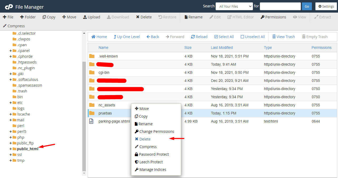 file manager Cpanel 2