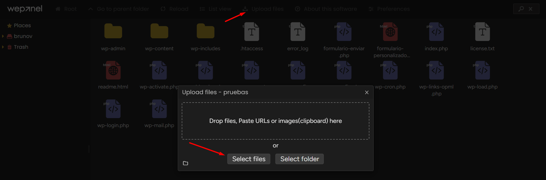 wepanel subir archivos