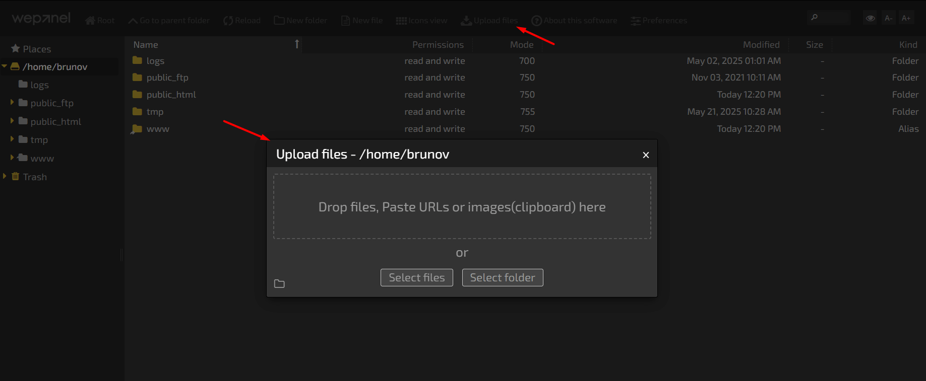subir archivos wepanel