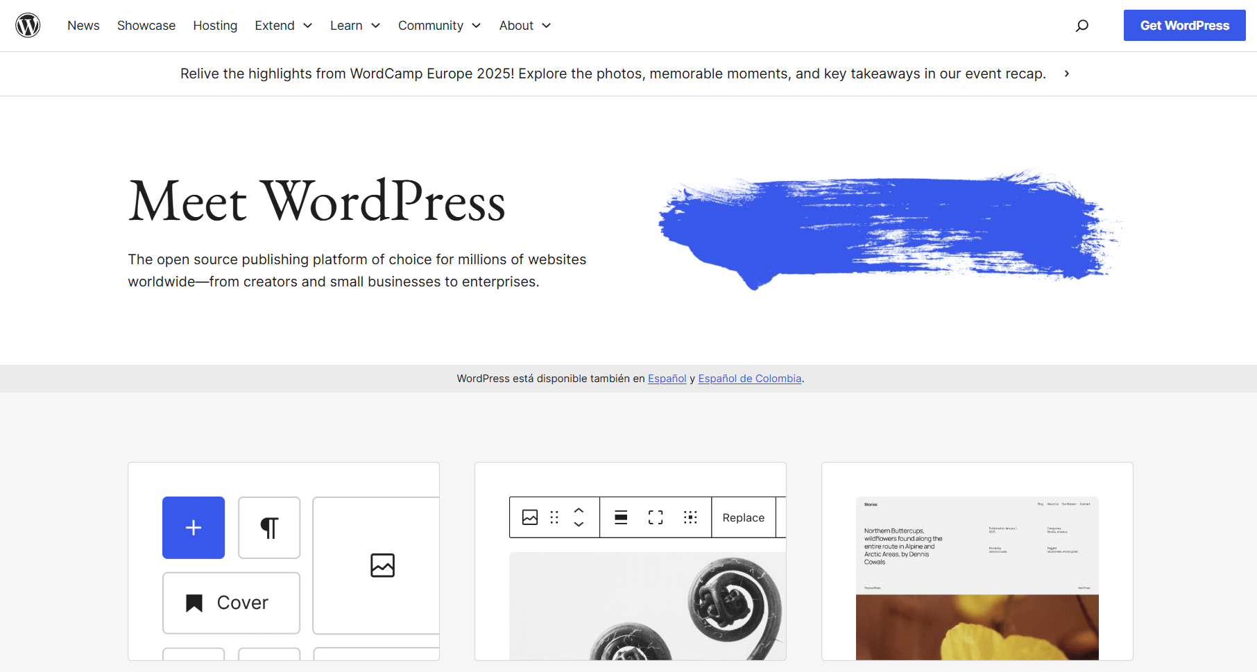 WordPress