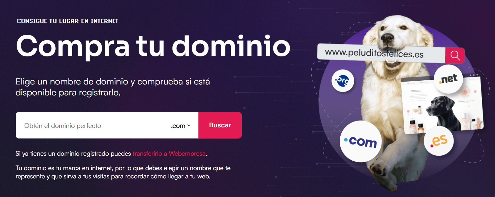 dominios webempresa 