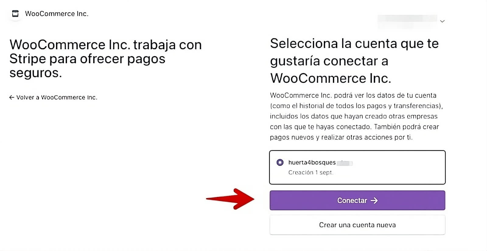 Conectar cuenta Stripe