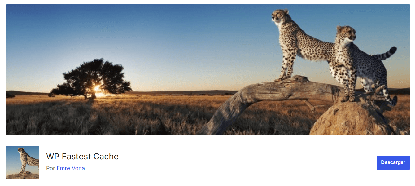 plugin-cache-wp-05 Plugin WP Fastest Cache